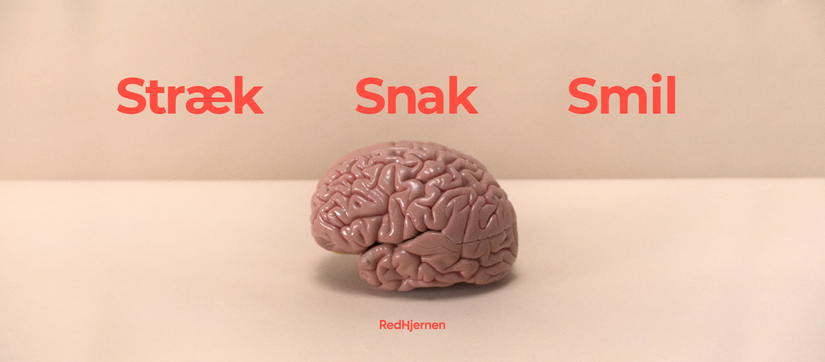 Stræk - Snak - Smil